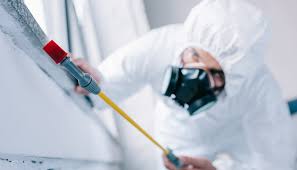 Best Real Estate Pest Inspections  in Commack, NY